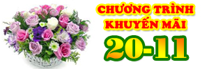 khuyến mãi 20-11