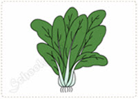 em vẽ vẽ rau củ quả