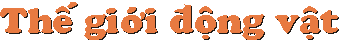 tgdv.gif (1238 bytes)